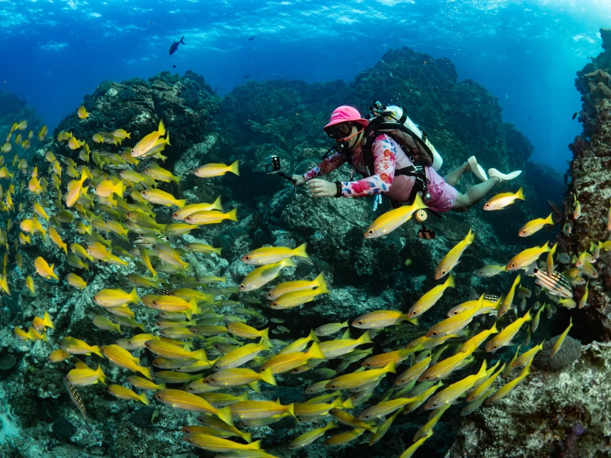 Your Gateway to the Andaman’s Deep Blue