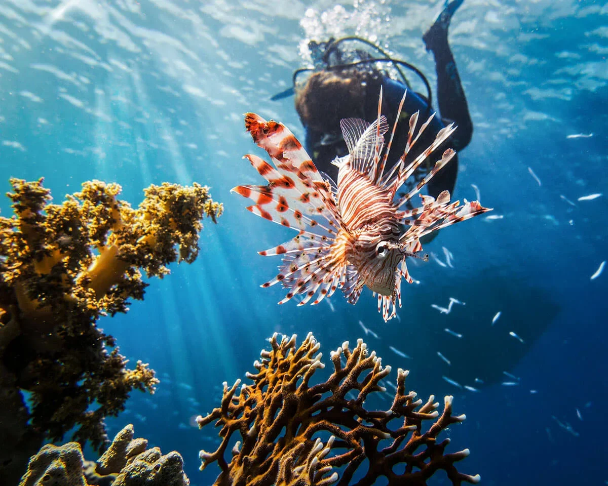 Discover Scuba Diving