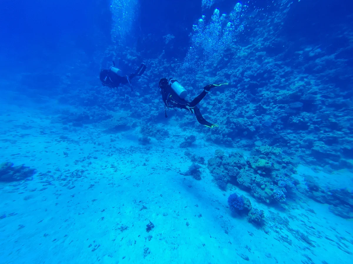 PADI Peak Performance Buoyancy