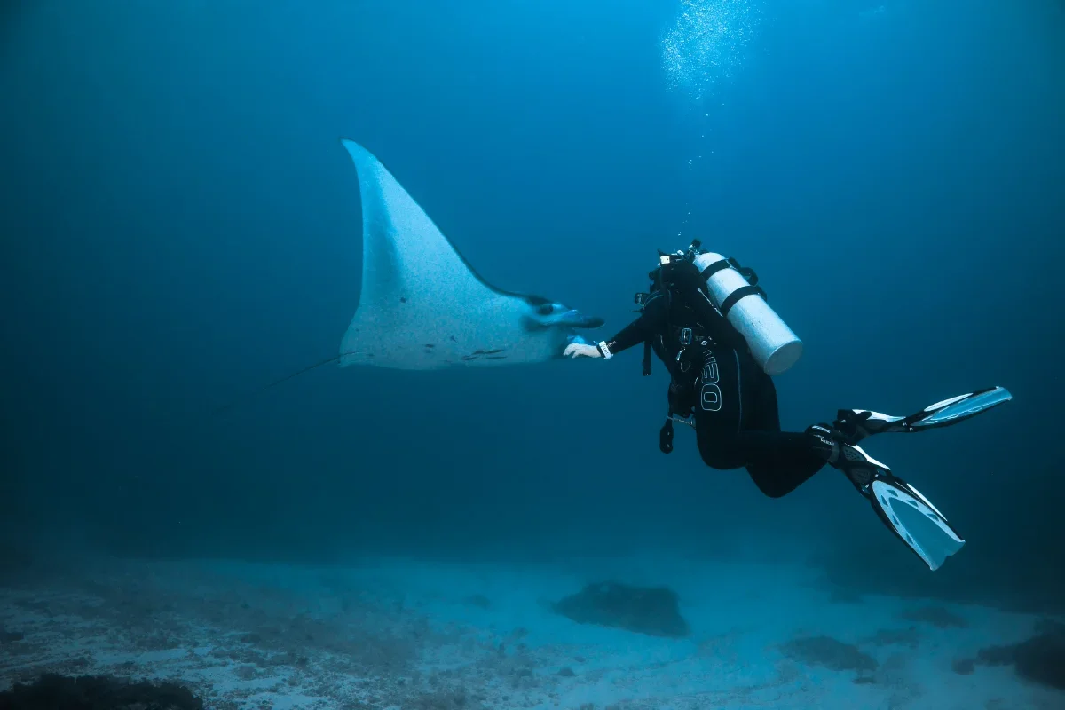 PADI Scuba Diver